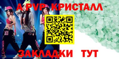 гашик Кингисепп