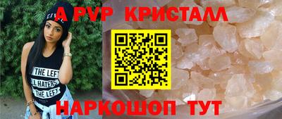 стаф Кинель
