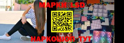 гашик Кингисепп