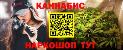 гашик Кингисепп