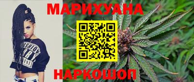 гашик Кингисепп