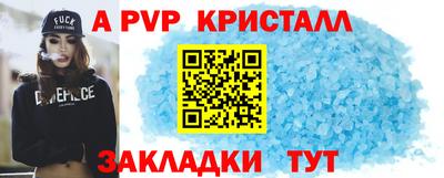 гашик Кингисепп