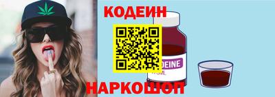 гашик Кингисепп