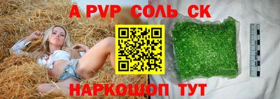гашик Кингисепп