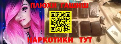 гашик Кингисепп