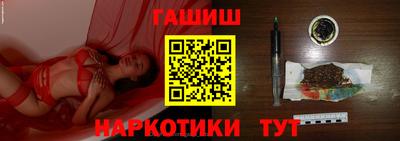 гашик Кингисепп