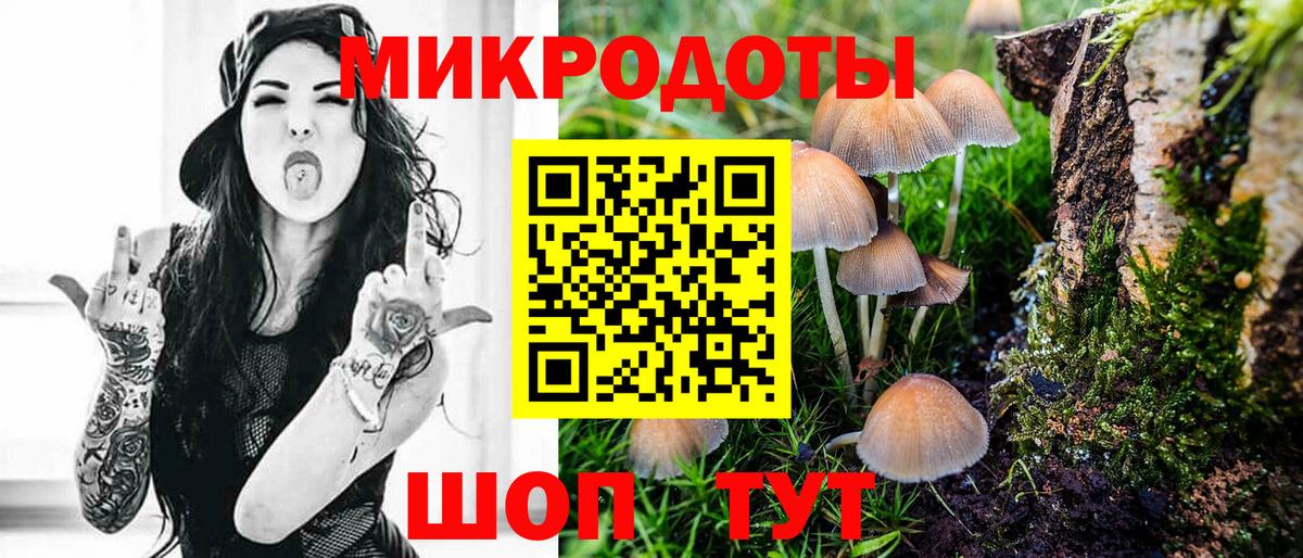 Псилоцибиновые грибы GOLDEN TEACHER  Галлюциногенные грибы Psilocybe  Вход с VPN  Коркино 